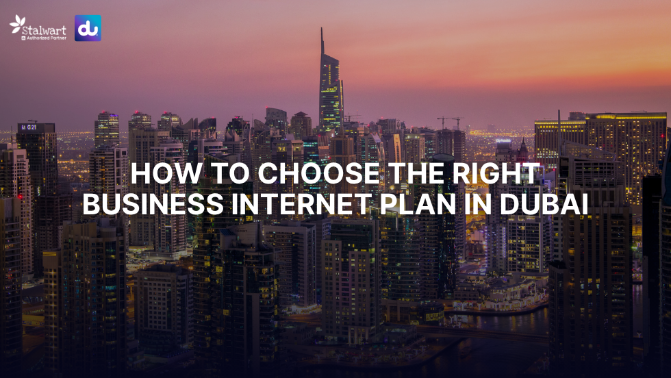 How to choose best du business internet